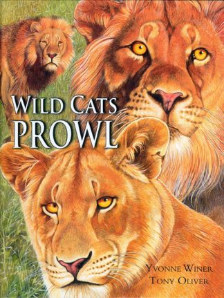 Wild Cats Prowl